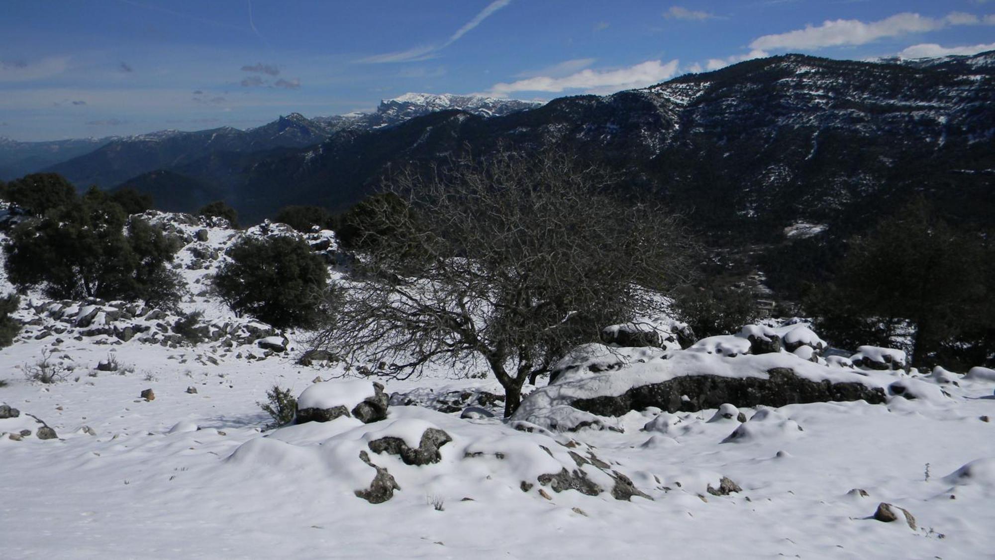 Casa Rural Fuente Zagrilla Exteriör bild